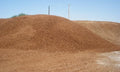 Pecan Shells — Bulk